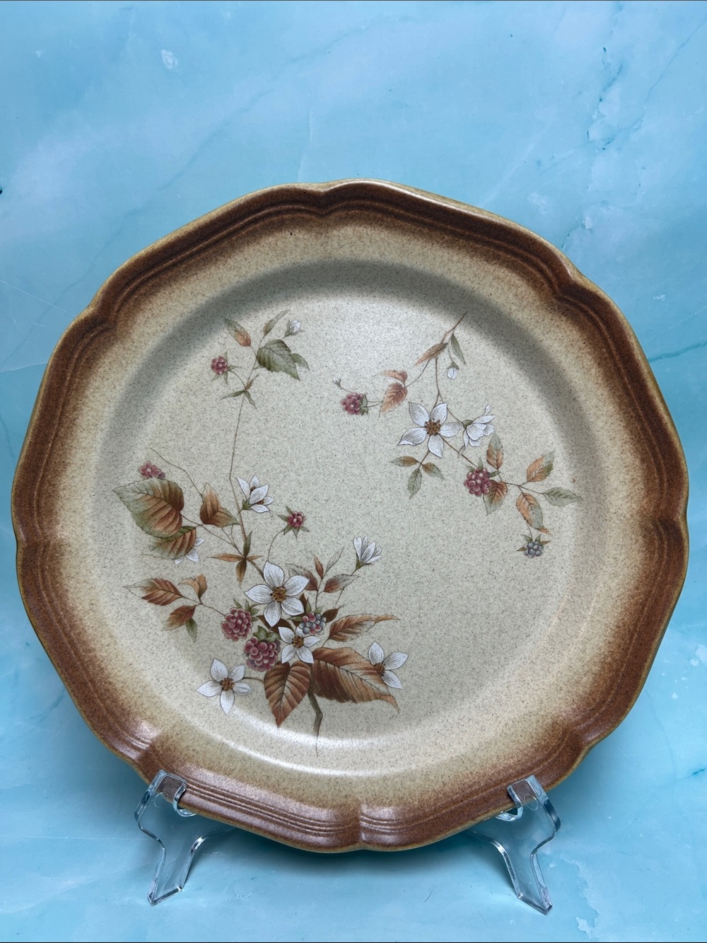 RARE MIKASA RASPBERRY BOUQUET WHOLE WHEAT E 8019 DISCONTINUED Dinnerware
